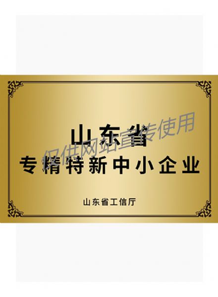 省級專精特新中小企業(yè)